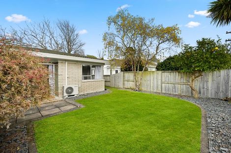 Photo of property in 49 Rimu Street, Maeroa, Hamilton, 3200