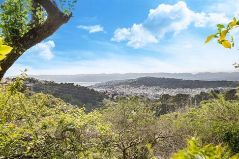 Photo of property in 27 Koromiko Road, Aro Valley, Wellington, 6012
