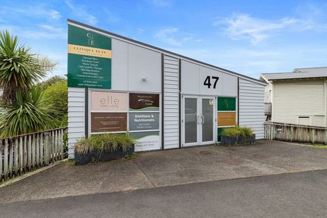 Photo of property in 82 Palmerston Street, Hamilton Lake, Hamilton, 3204