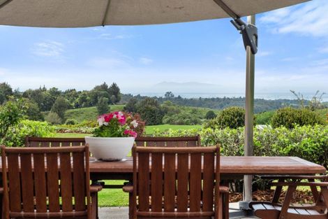 Photo of property in 938 Whakamarama Road, Whakamarama, Tauranga, 3179