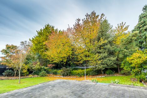 Photo of property in 43 Cox Street, Geraldine, 7930