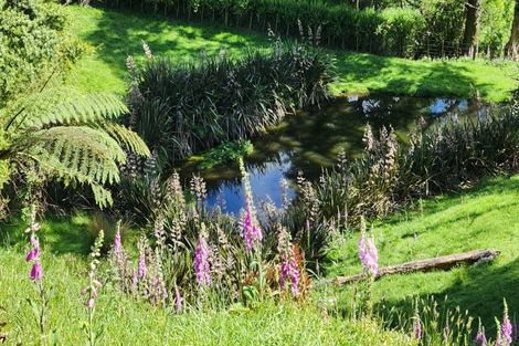 Photo of property in 133 Kaimata Road, Kaimata, Inglewood, 4390