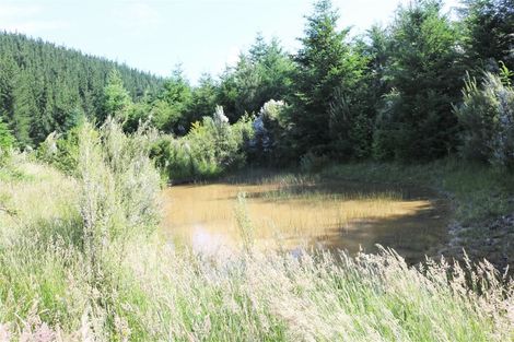 Photo of property in 147p Mount Lyford Forest Drive, Lyford, Waiau, 7395