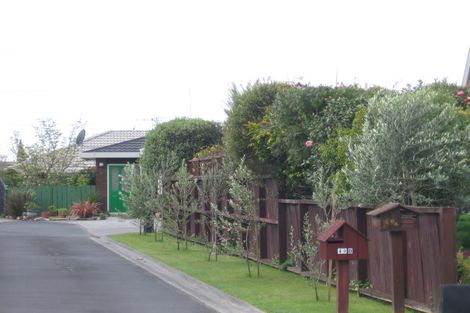 Photo of property in 49a Bayfair Drive, Mount Maunganui, 3116