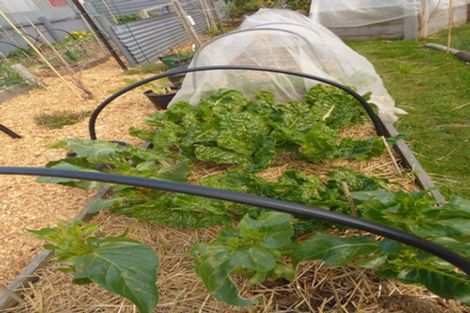 Photo of property in 33 Gloucester Street, Patea, 4520