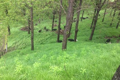 Photo of property in 608 Apley Road, Puketapu, Napier, 4184