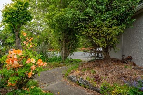 Photo of property in 53 Campbell Street, Geraldine, 7930