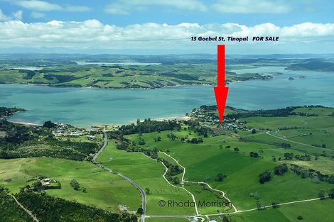 Photo of property in 13 Goebel Street, Tinopai, 0593