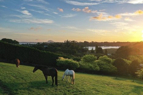 Photo of property in 217 Plummers Point Road, Whakamarama, Tauranga, 3172