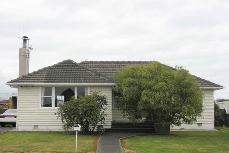 Photo of property in 58 Power Street, Levin, 5510