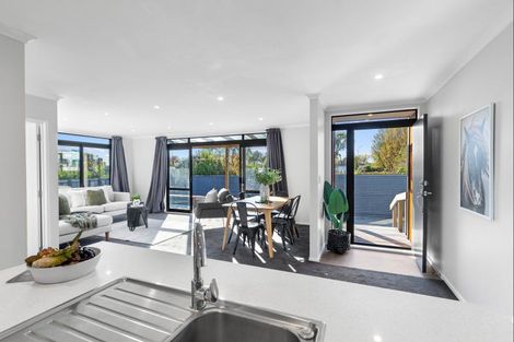 Photo of property in 24a Drake Street, Awapuni, Palmerston North, 4412