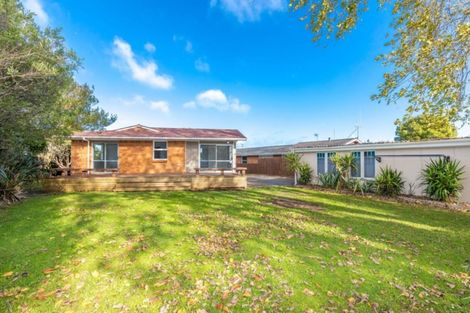 Photo of property in 91 Bruce Avenue, Glenview, Hamilton, 3206