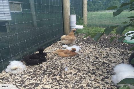 Photo of property in 2253 State Highway 16, Helensville, 0875