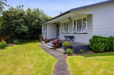 Photo of property in 114 Ariel Street, Stratford, 4332