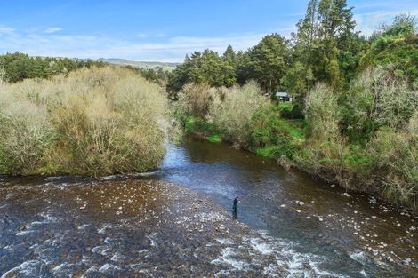 Photo of property in 205 Te Rena Road, Kakahi, 3989