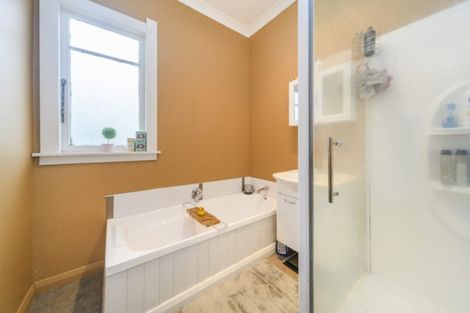 Photo of property in 351 Tremaine Avenue, Takaro, Palmerston North, 4412