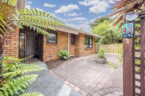 Photo of property in 43 Alnwick Street, Warkworth, 0910