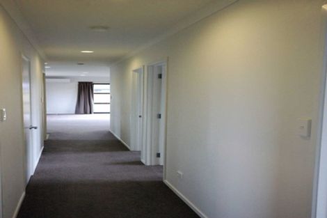 Photo of property in 60 Mary Ellen Street, Pegasus, 7612