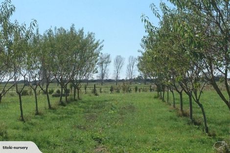 Photo of property in 324 Greig Road, Matata, Whakatane, 3194