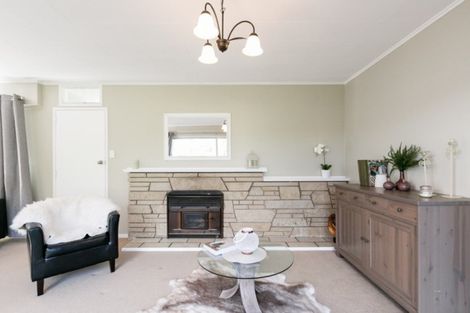 Photo of property in 14 Belmont Street, Havelock North, 4130