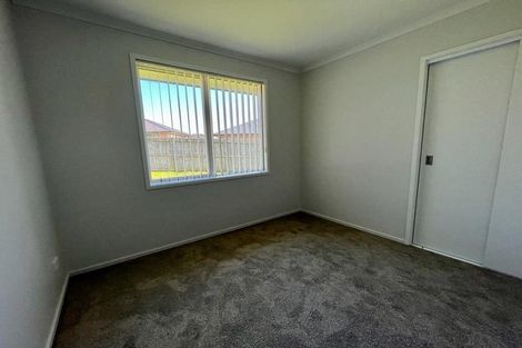 Photo of property in 24 Martindale Lane, Tuakau, 2121