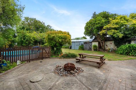 Photo of property in 1010 Totara Street, Mahora, Hastings, 4120