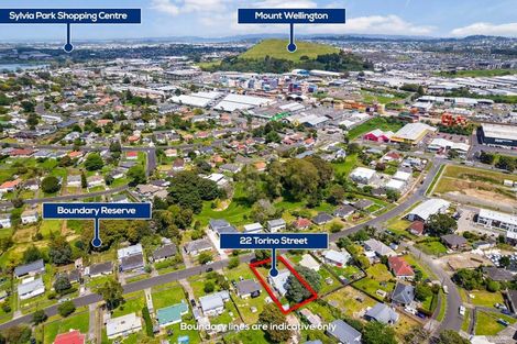 Photo of property in 22 Torino Street, Point England, Auckland, 1072