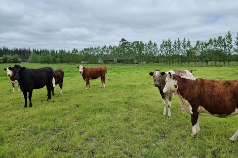 Photo of property in 15 Victoria Street, Oxford, 7430