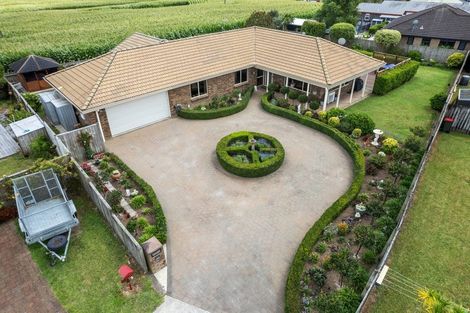 Photo of property in 244 Grandview Road, Western Heights, Hamilton, 3200