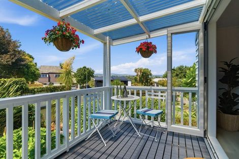 Photo of property in 2 Ely Place, Bethlehem, Tauranga, 3110