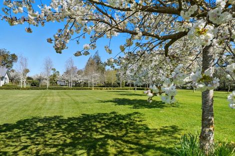 Photo of property in 418a Woodfields Road, Swannanoa, Rangiora, 7475