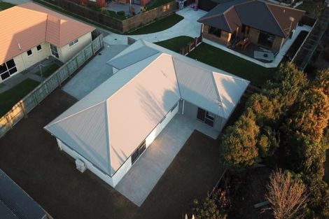 Photo of property in 25 Barry Curtis Place, Levin, 5510