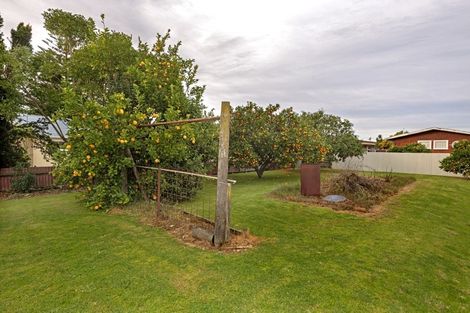 Photo of property in 685 Aberdeen Road, Te Hapara, Gisborne, 4010