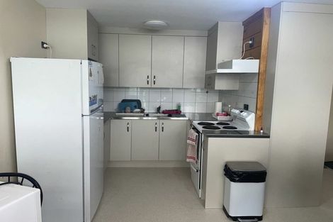 Photo of property in Te Awhina Apartments, 5/22 Sussex Street, Mount Cook, Wellington, 6021