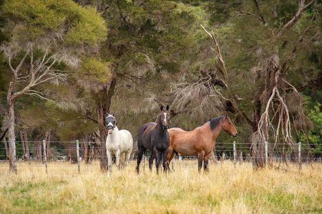 Photo of property in 29 Jordan Road, Waingawa, Carterton, 5791