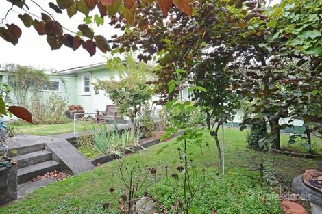 Photo of property in 1 Elizabeth Street, Masterton, 5810
