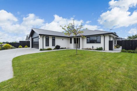 Photo of property in 31 Hampton Terrace, Matamata, 3400