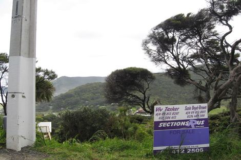 Photo of property in 23 Rayner Road, Piha, 0772