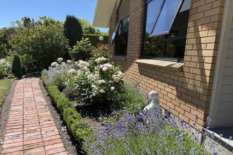 Photo of property in 71 Lynch Road, Levels, Timaru, 7973