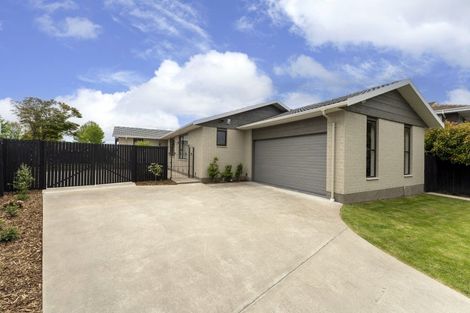 Photo of property in 6 Montclare Avenue, Ilam, Christchurch, 8041