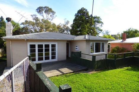 Photo of property in 47 Pomaria Road, Henderson, Auckland, 0610