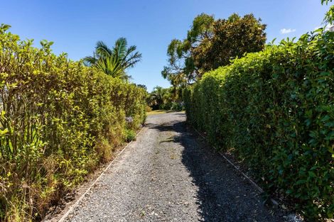 Photo of property in 58 Mangawhai Heads Road, Mangawhai Heads, Kaiwaka, 0573