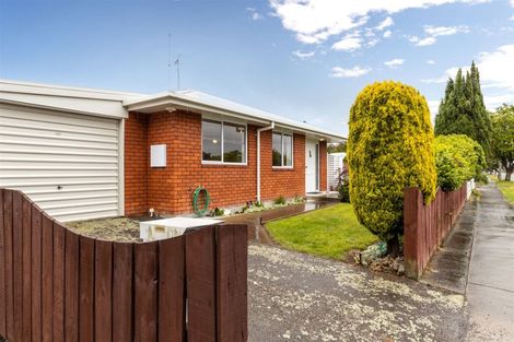 Photo of property in 176 Weld Street, Witherlea, Blenheim, 7201