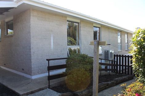 Photo of property in 33a Galloway Street, Mornington, Dunedin, 9011