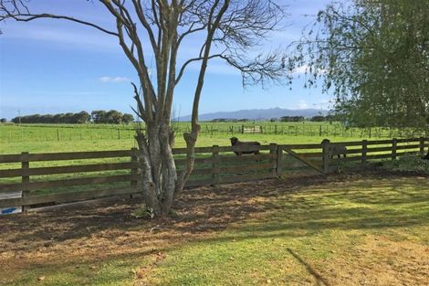 Photo of property in 382 Matatoki Road, Matatoki, Thames, 3578