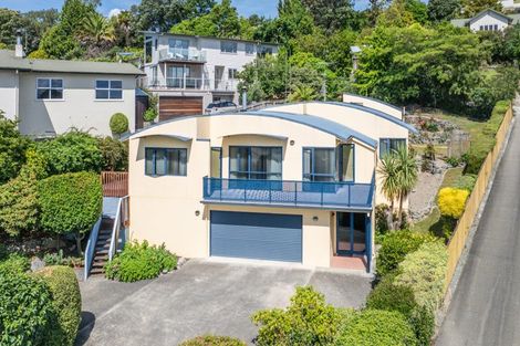 Photo of property in 313 Hill Street, Richmond, 7020