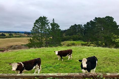 Photo of property in 17a Norwich Place, Awapuni, Palmerston North, 4412