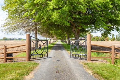 Photo of property in 105 Norrish Road, Ohaupo, 3881