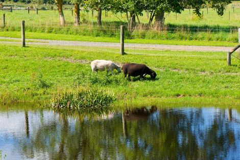 Photo of property in 152 Postmans Road, Kaikoura Flat, Kaikoura, 7371