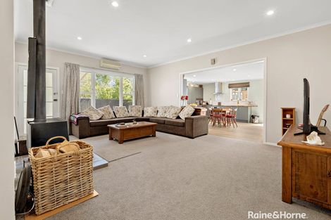 Photo of property in 32 Tyndall Street, Pahiatua, 4910